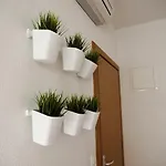 Apartman Tila *